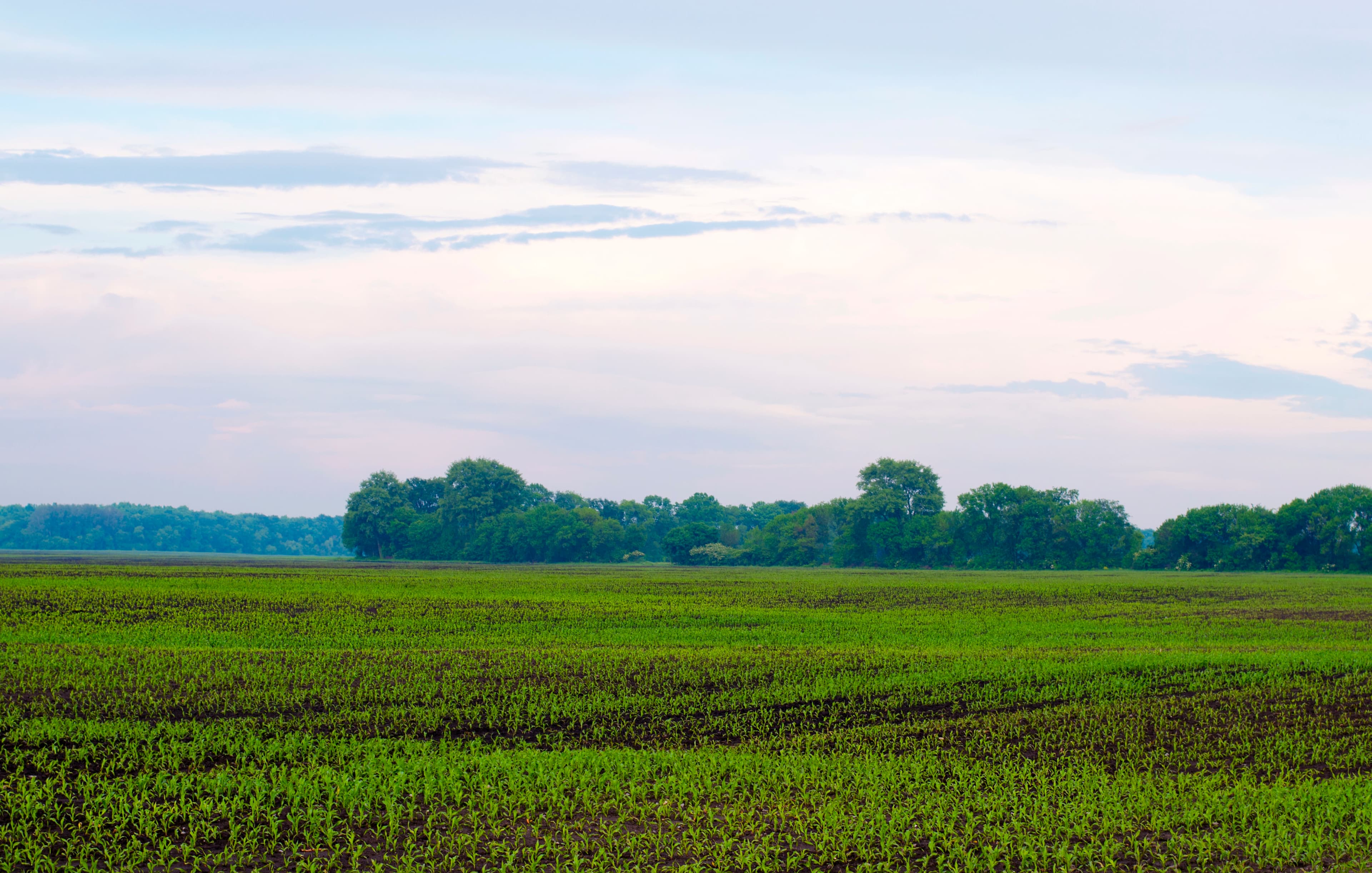 Agricultural Lands